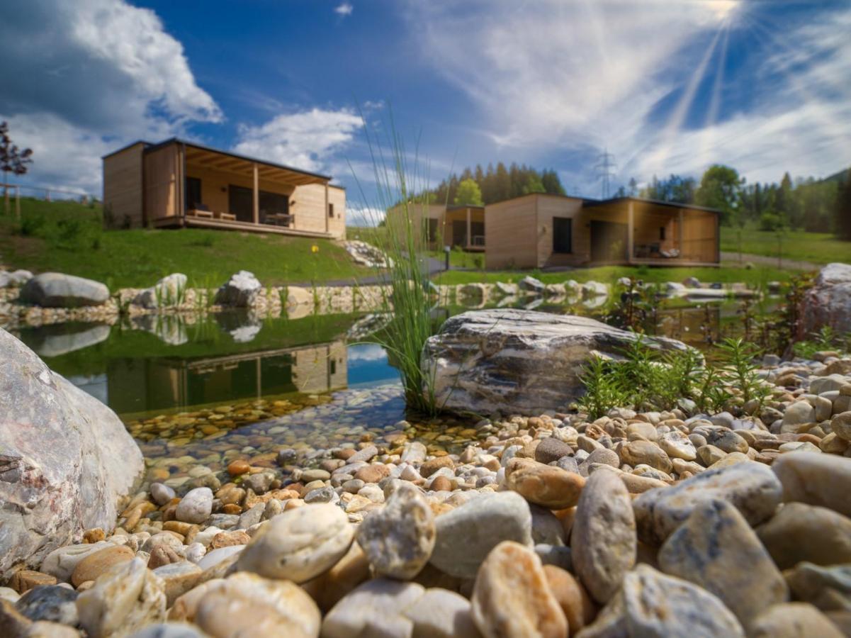 Wiesenquartier I Chalet I Adults Only Langenwang Ngoại thất bức ảnh