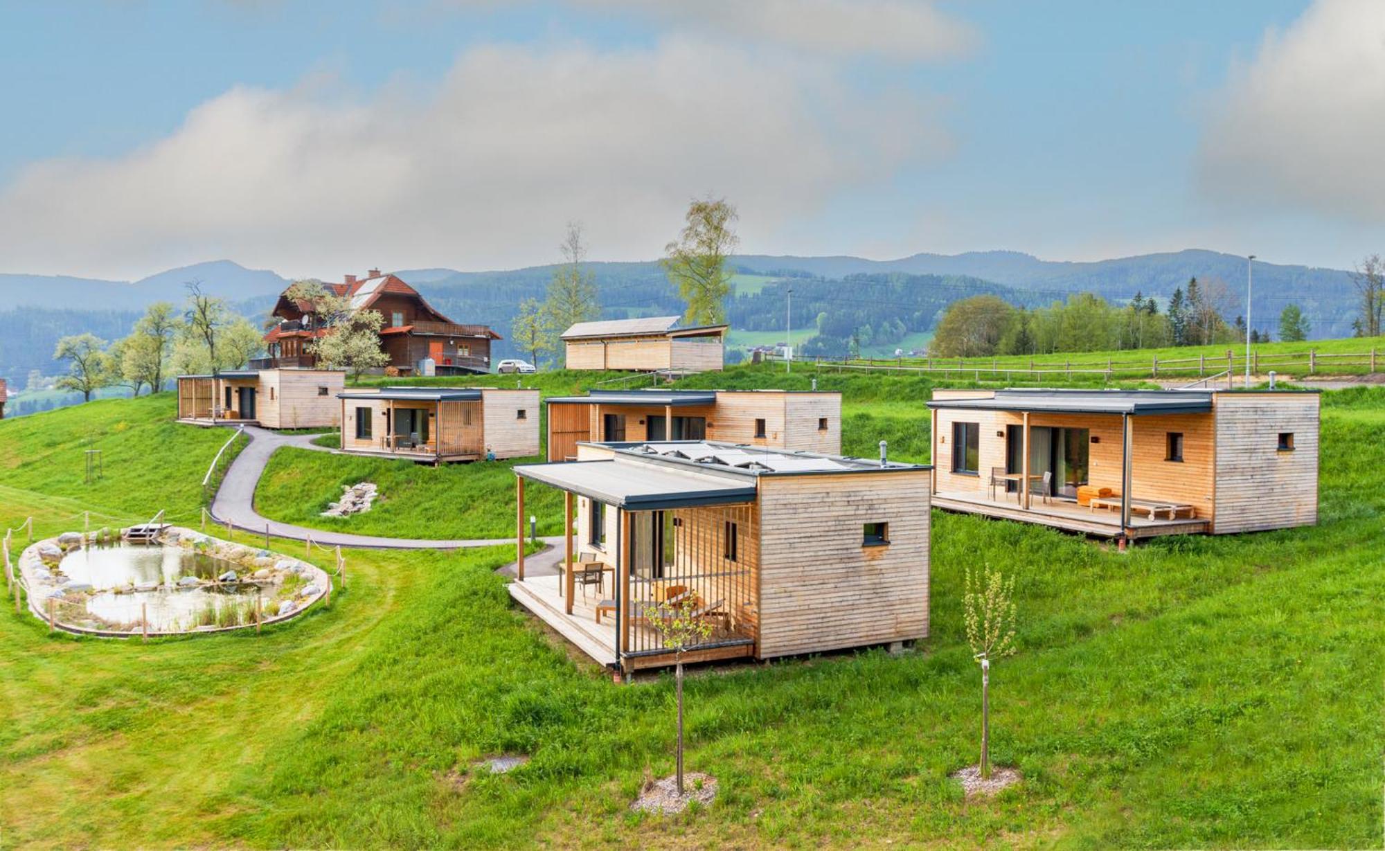 Wiesenquartier I Chalet I Adults Only Langenwang Ngoại thất bức ảnh